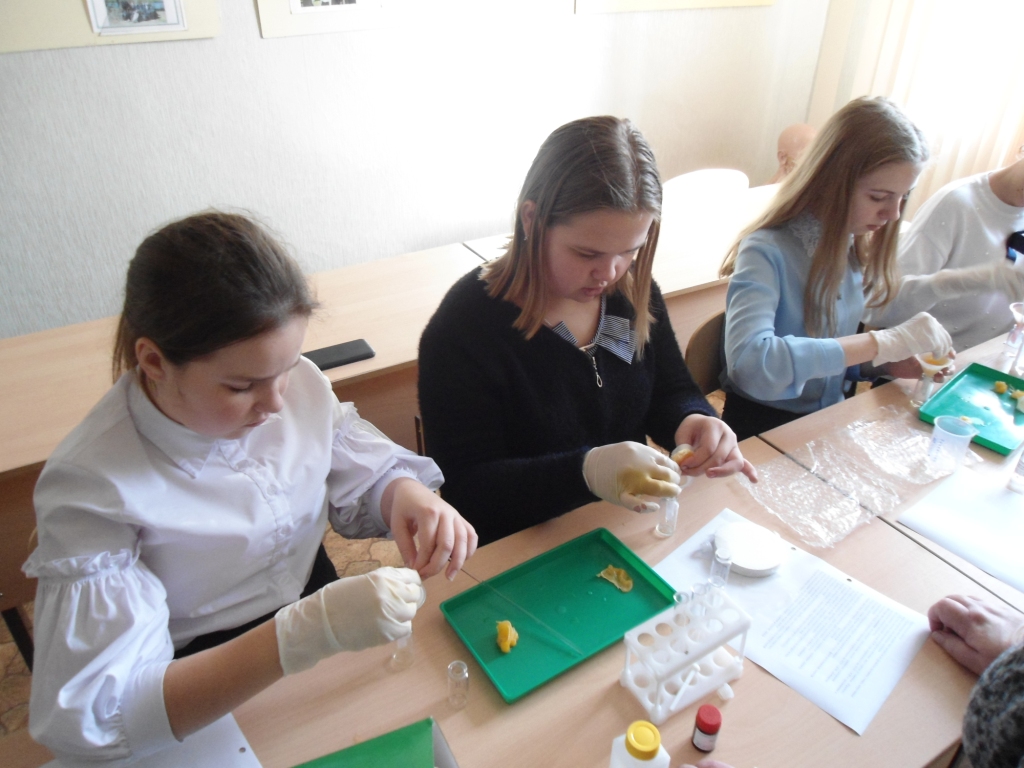 «Юный медик»